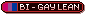Bi - Gay Lean